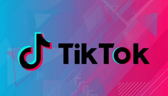 Premium TikTok Ads Manager analytics and high-velocity ROI dashboard by TY ALPHA TECHNOLOGY